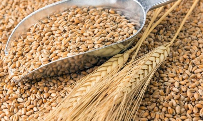 Россия приостановила до 1 июля экспорт зерна за пределы Евразийского экономического союза